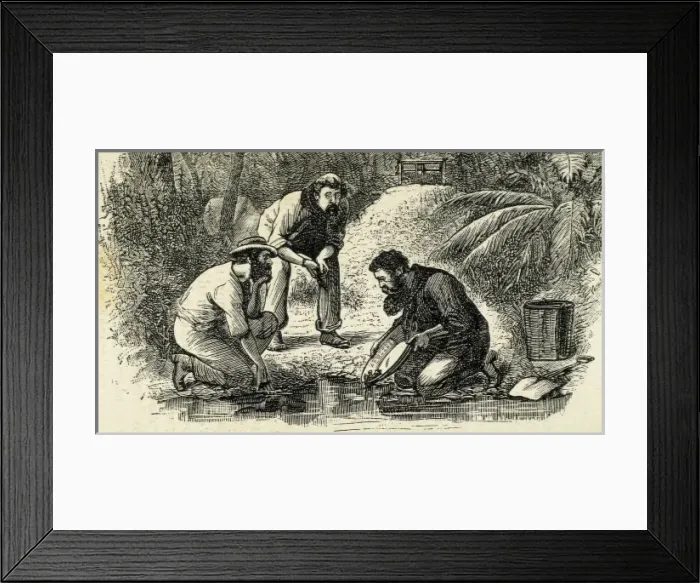 Framed Print : Australia (1880). The life of the gold diggers Framed Print : Australia (1880). The life of the gold diggers