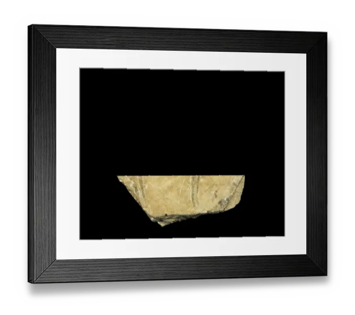 Framed Print : Black hind. Upper Paleolithic. Solutrean. SPAIN Framed Print : Black hind. Upper Paleolithic. Solutrean. SPAIN
