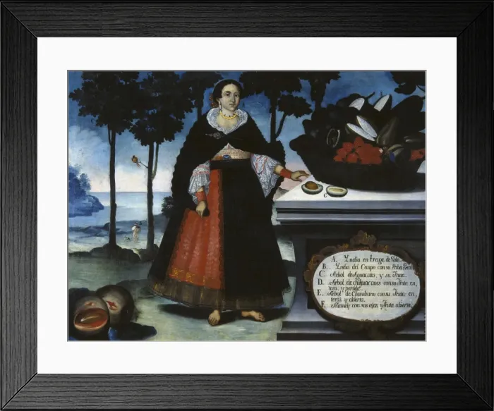 Framed Print : ALBAN, Vicente (18th c. ). Indian Woman in Fine Framed Print : ALBAN, Vicente (18th c. ). Indian Woman in Fine