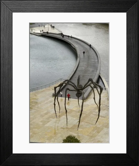 Framed Print : SPAIN. Bilbao. Guggenheim Museum Bilbao. Footbridge Framed Print : SPAIN. Bilbao. Guggenheim Museum Bilbao. Footbridge