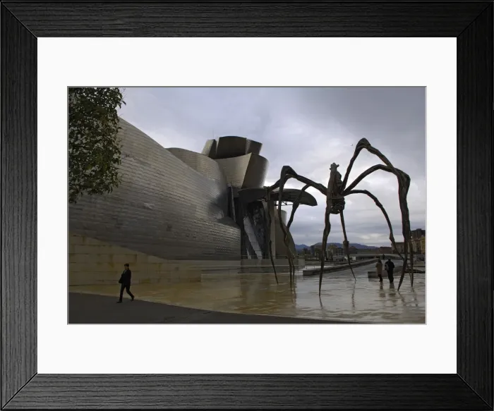 Framed Print : SPAIN. Bilbao. Guggenheim Museum Bilbao. Exterior Framed Print : SPAIN. Bilbao. Guggenheim Museum Bilbao. Exterior
