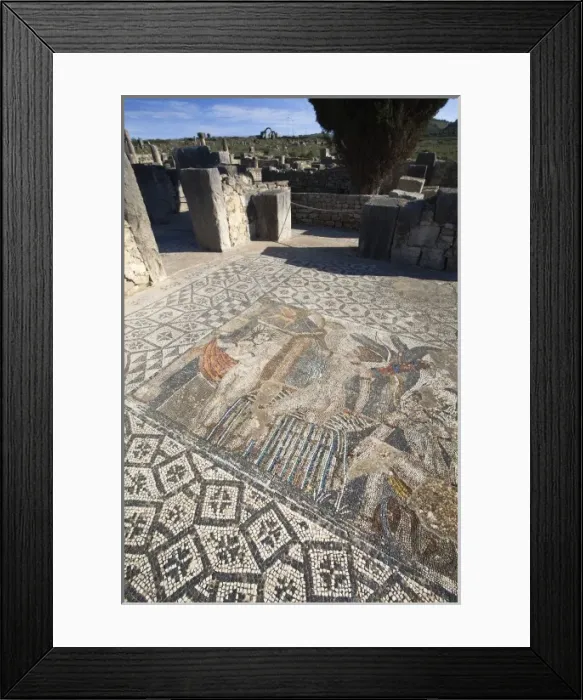 Framed Print : MOROCCO. Volubilis. Ruins of the Roman city Framed Print : MOROCCO. Volubilis. Ruins of the Roman city