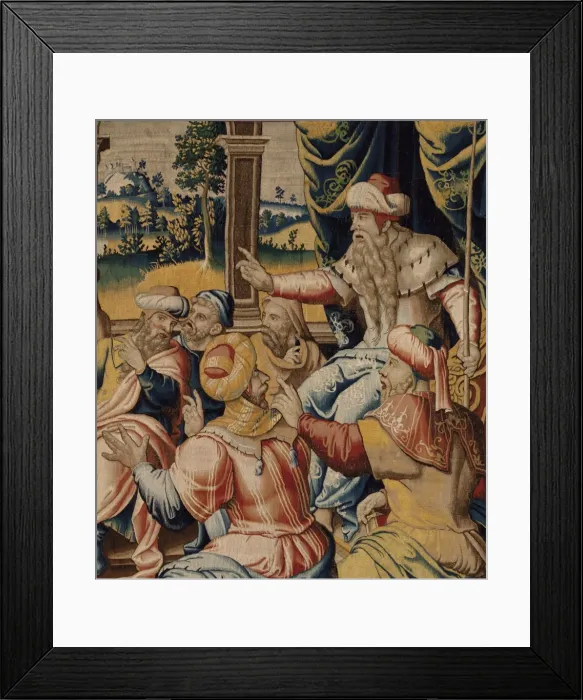 Framed Print : The History of Hannibal: Mago, Hannibals messenger Framed Print : The History of Hannibal: Mago, Hannibals messenger