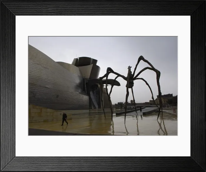 Framed Print : SPAIN. Bilbao. Guggenheim Museum Bilbao. Exterior Framed Print : SPAIN. Bilbao. Guggenheim Museum Bilbao. Exterior