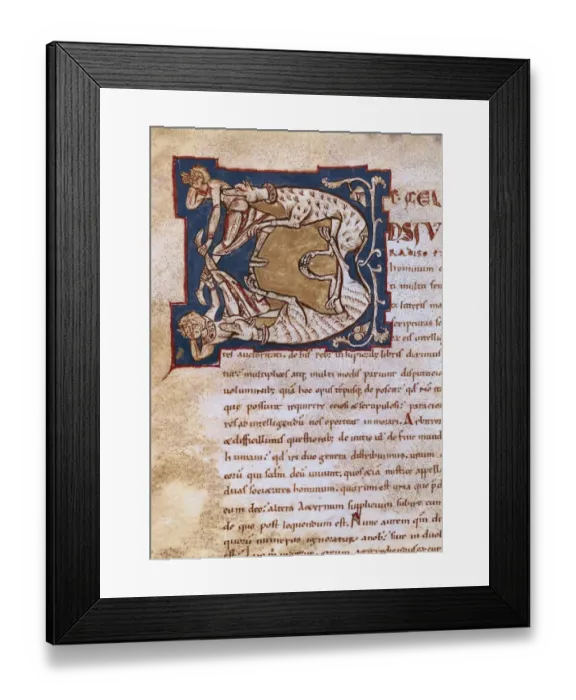 Framed Print : Illuminated initial. 12th c. It belongs to a Framed Print : Illuminated initial. 12th c. It belongs to a