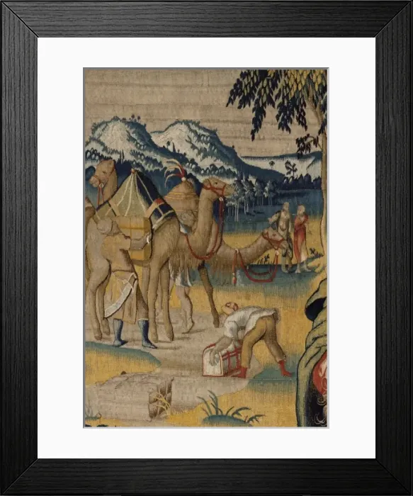 Framed Print : The History of Hannibal: Mago, Hannibals messenger Framed Print : The History of Hannibal: Mago, Hannibals messenger