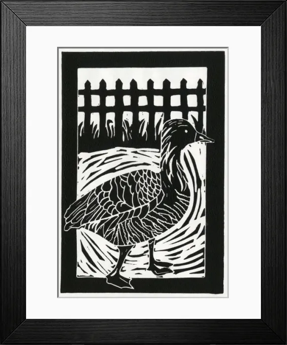 Framed Print : A greylag goose marches along a path Framed Print : A greylag goose marches along a path