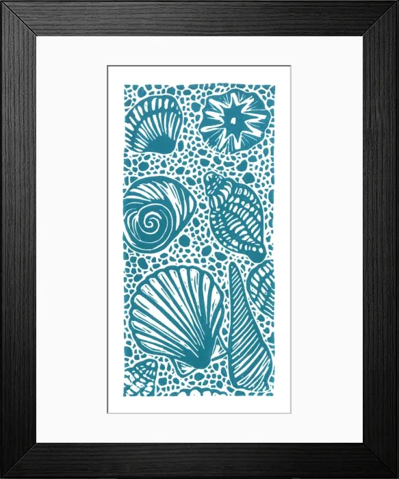 Framed Print : A selection of seashells Framed Print : A selection of seashells
