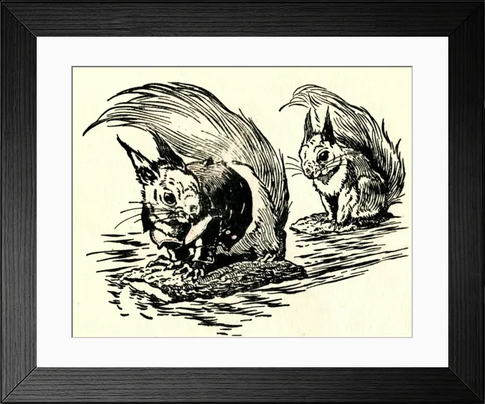 Framed Print : Two squirrels Framed Print : Two squirrels