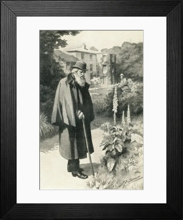 Framed Print : Darwin in his garden Framed Print : Darwin in his garden