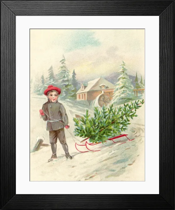 Framed Print : Carrying Christmas tree on a sledge through the snow Framed Print : Carrying Christmas tree on a sledge through the snow