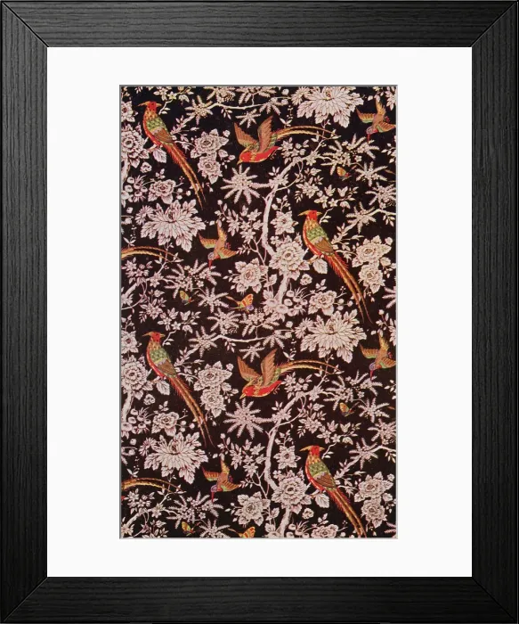 Framed Print : Brightly coloured birds on branches Framed Print : Brightly coloured birds on branches