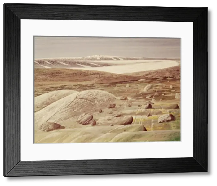Framed Print : Pleistocene landscape Framed Print : Pleistocene landscape