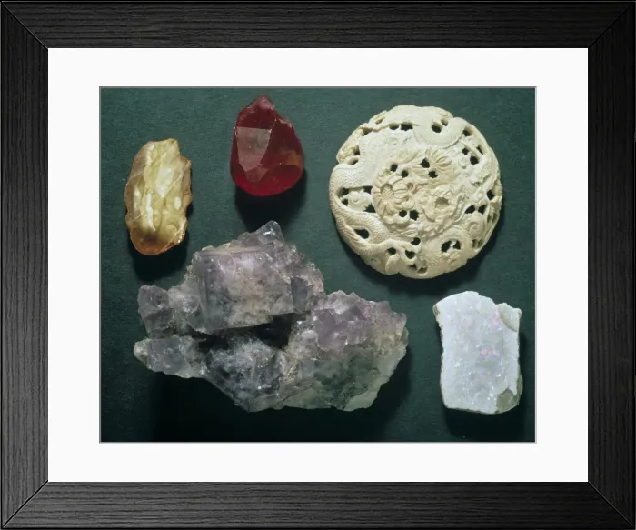 Framed Print : Fluorescent group Framed Print : Fluorescent group