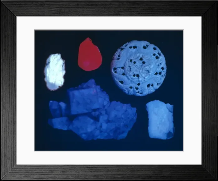Framed Print : Fluorescent group Framed Print : Fluorescent group