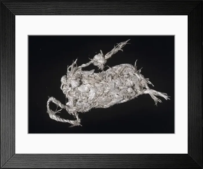Framed Print : Asbestos purse Framed Print : Asbestos purse