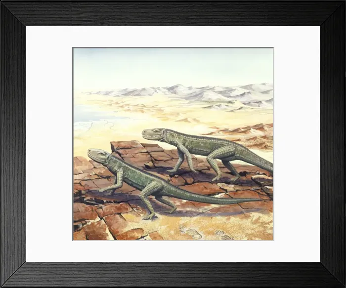 Framed Print : Cheirotherium