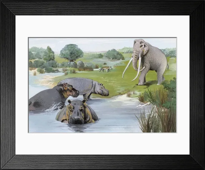 Framed Print : Thames Valley in the Ipswichian Interglacial Framed Print : Thames Valley in the Ipswichian Interglacial