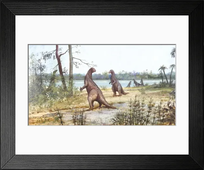 Framed Print : Iguanodon. A wealden reed swamp depicted during the Lower Cretaceous period Framed Print : Iguanodon. A wealden reed swamp depicted during the Lower Cretaceous period