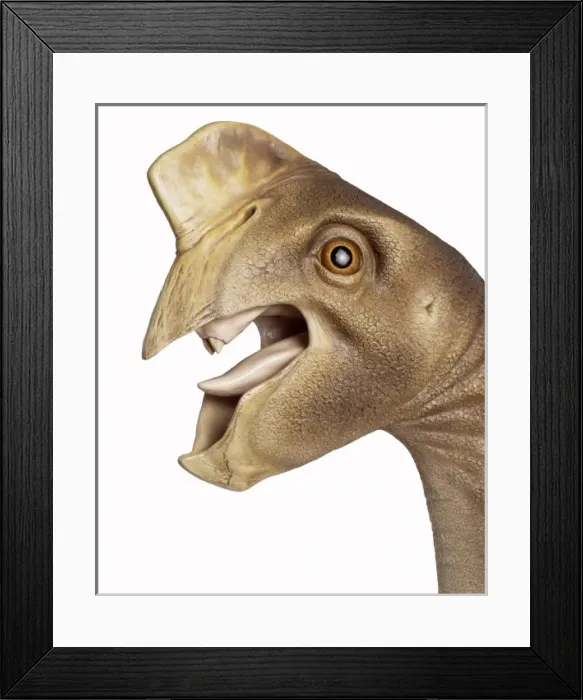 Framed Print : Oviraptors jaw was designed to exert great pressure Framed Print : Oviraptors jaw was designed to exert great pressure