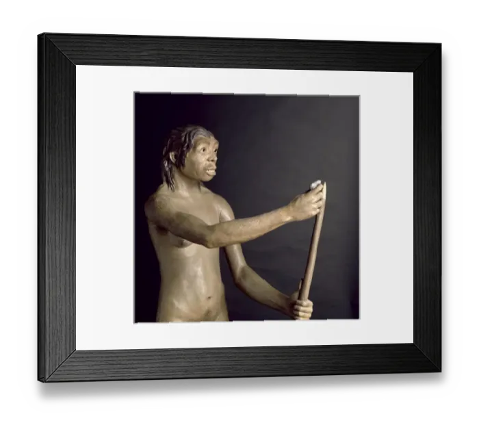 Framed Print : Homo neanderthalensis, Neanderthal Woman (Tabun C1) Framed Print : Homo neanderthalensis, Neanderthal Woman (Tabun C1)