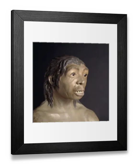 Framed Print : Homo neanderthalensis, Neanderthal Woman (Tabun C1) Framed Print : Homo neanderthalensis, Neanderthal Woman (Tabun C1)