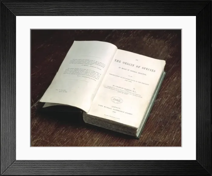 Framed Print : The Origin of Species by Charles Darwin Framed Print : The Origin of Species by Charles Darwin