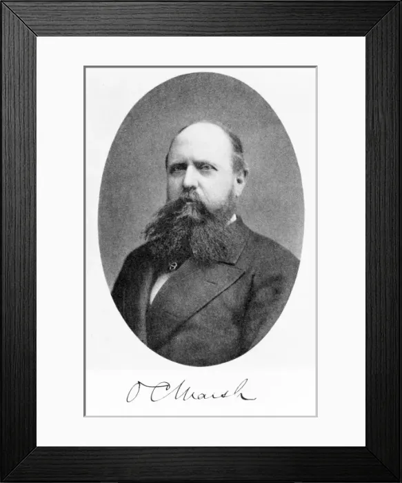 Framed Print : Othniel Charles Marsh (1831-1899) Framed Print : Othniel Charles Marsh (1831-1899)