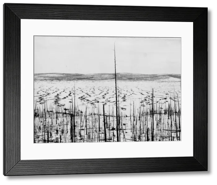 Framed Print : Tunguska meteorite damage, Siberia Framed Print : Tunguska meteorite damage, Siberia