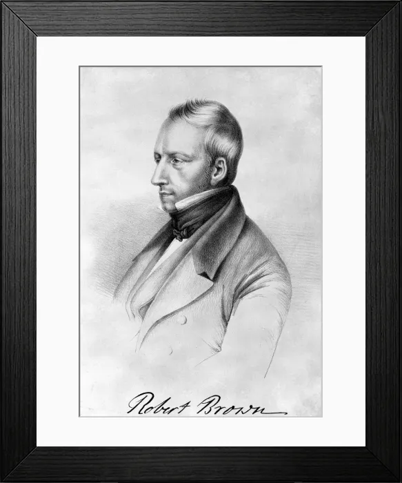 Framed Print : Robert Brown (1773-1858) Framed Print : Robert Brown (1773-1858)