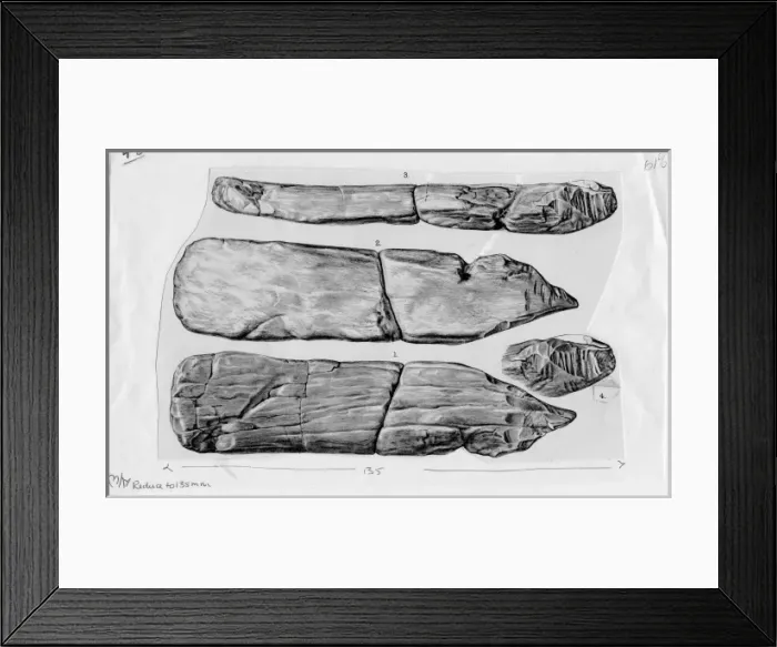 Framed Print : Piltdown bone implement (cricket bat) Framed Print : Piltdown bone implement (cricket bat)