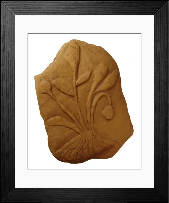 Framed Print : Bogus fossil plant Framed Print : Bogus fossil plant