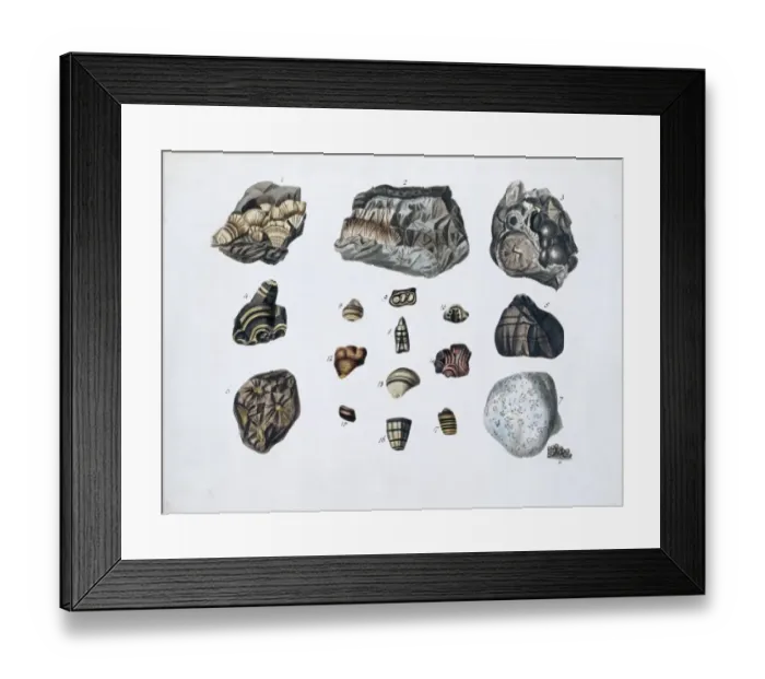 Framed Print : Plate 1a from Specimens of British Minerals? vol. 1 by P. Ra Framed Print : Plate 1a from Specimens of British Minerals? vol. 1 by P. Ra