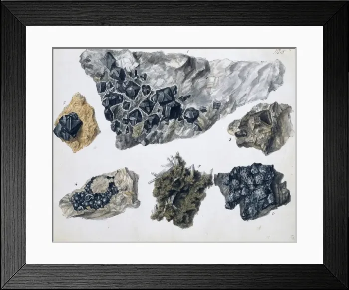 Framed Print : Plate 5 from Specimens of British Minerals? vol. 1 by P. Ras Framed Print : Plate 5 from Specimens of British Minerals? vol. 1 by P. Ras