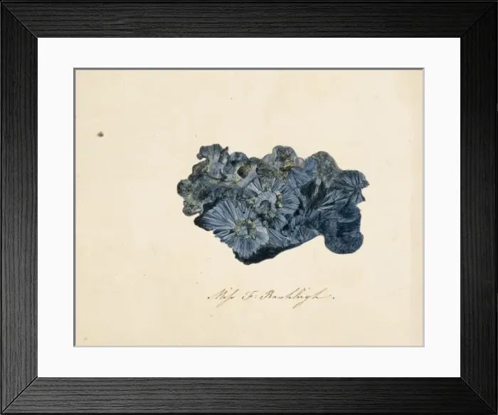 Framed Print : Ore mineral Framed Print : Ore mineral