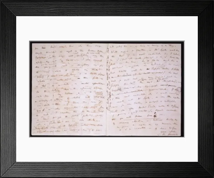 Framed Print : Letter written by Charles Darwin to Emma Framed Print : Letter written by Charles Darwin to Emma