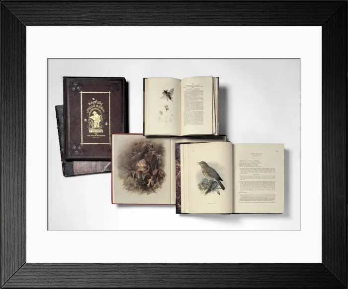 Framed Print : Illustrated books Framed Print : Illustrated books