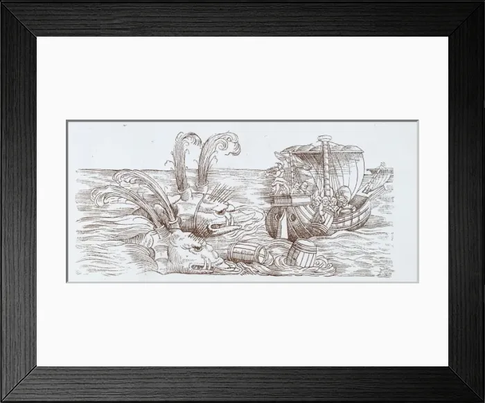 Framed Print : Odontoceti (suborder), toothed whale Framed Print : Odontoceti (suborder), toothed whale