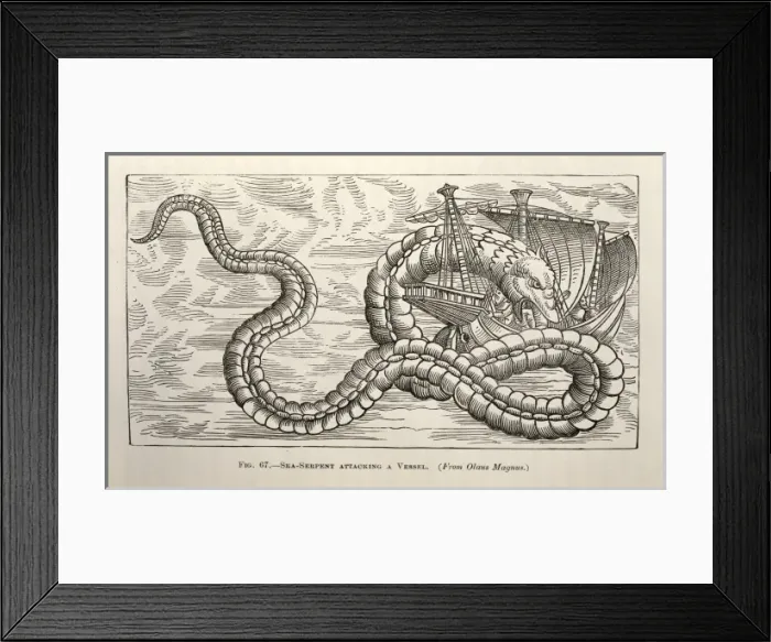 Framed Print : Sea-serpent attacking a vessel Framed Print : Sea-serpent attacking a vessel