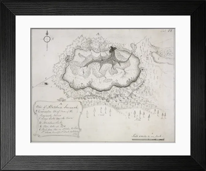 Framed Print : The Great Alachua Savanah in the province of East Florida Framed Print : The Great Alachua Savanah in the province of East Florida