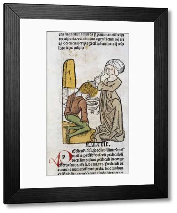 Framed Print : De-lousing illustration Framed Print : De-lousing illustration