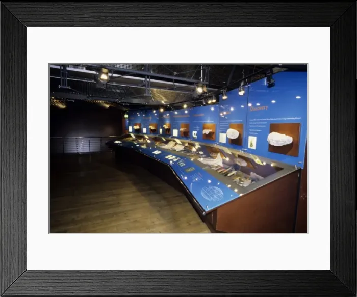 Framed Print : Dinosaur gallery Framed Print : Dinosaur gallery