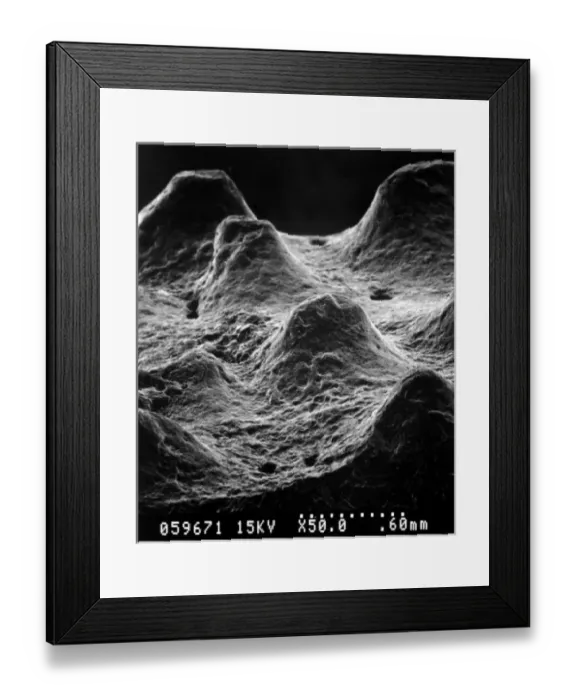 Framed Print : Oviraptor. Scanning electron microscope image of the exterior of an egg shell Framed Print : Oviraptor. Scanning electron microscope image of the exterior of an egg shell