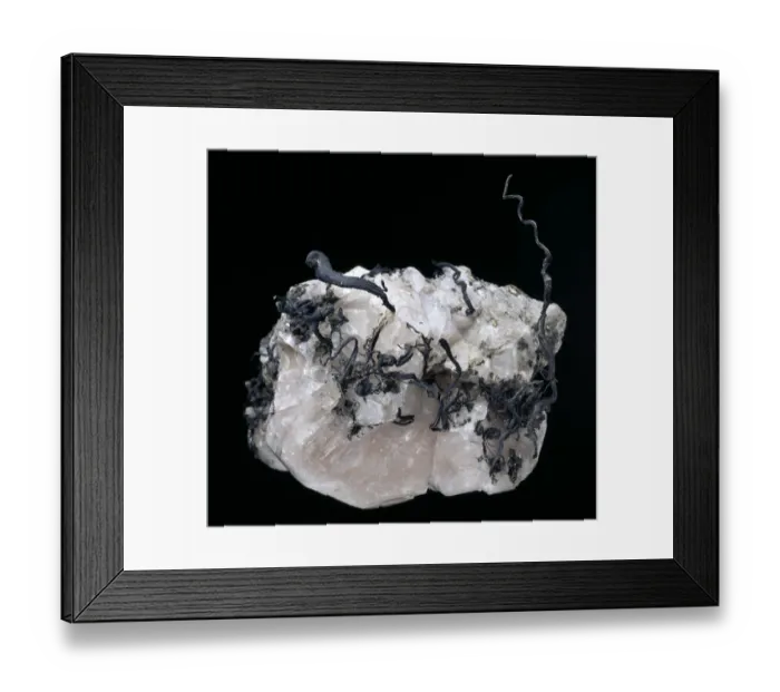 Framed Print : Native silver Framed Print : Native silver