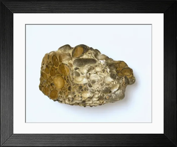 Framed Print : Puddingstone Framed Print : Puddingstone