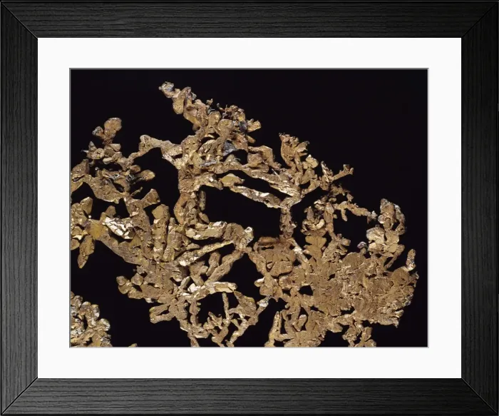 Framed Print : Copper is an elemental metal. Seen here is a dendritic or branching native copper specimen Framed Print : Copper is an elemental metal. Seen here is a dendritic or branching native copper specimen