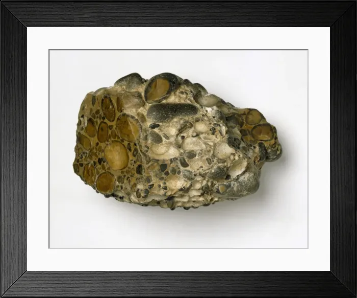 Framed Print : Puddingstone Framed Print : Puddingstone