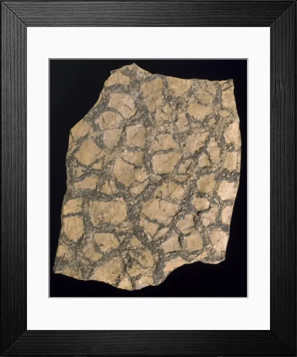 Framed Print : Sedimentary layer of rock Framed Print : Sedimentary layer of rock