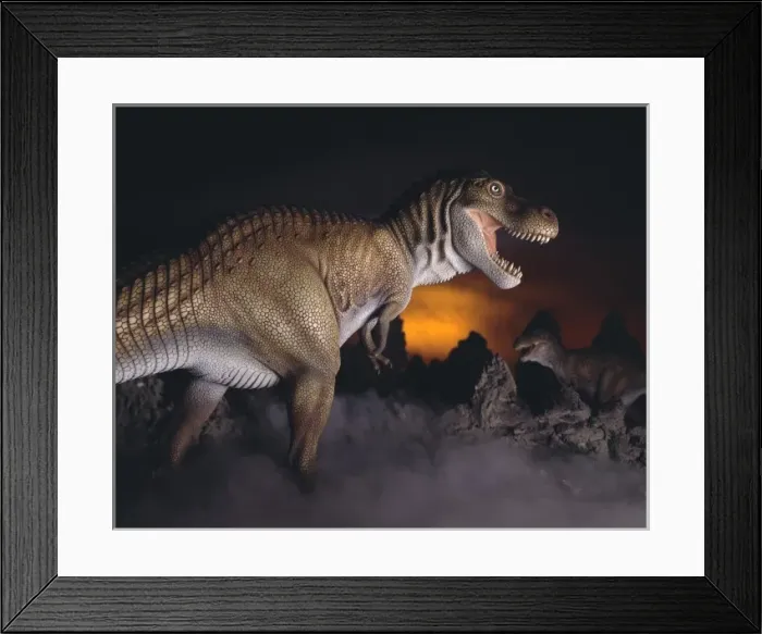 Framed Print : Tyrannosaurus rex Framed Print : Tyrannosaurus rex