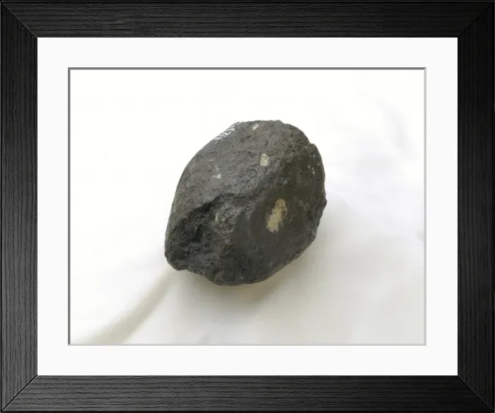 Framed Print : A Homo habilis hammerstone Framed Print : A Homo habilis hammerstone